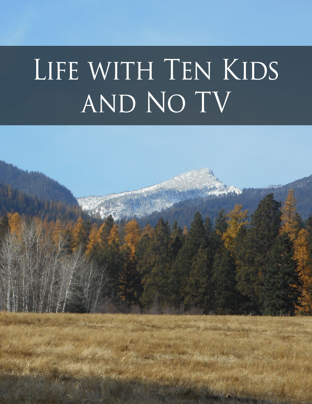 life-with-ten-kids