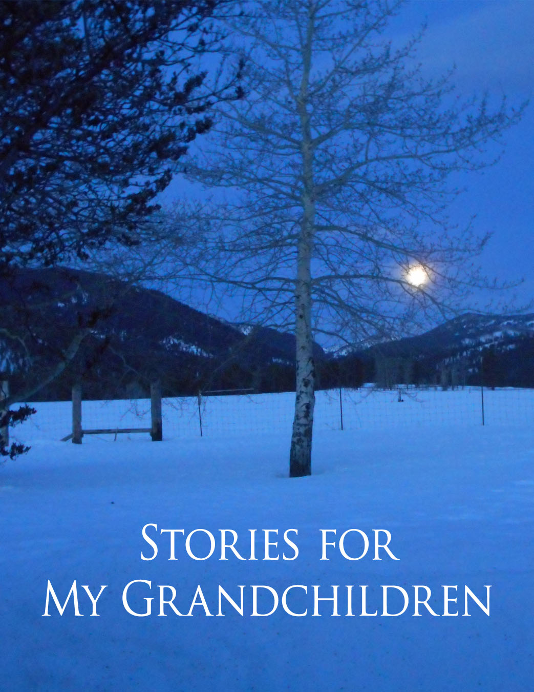 stories-for-my-grandchildren